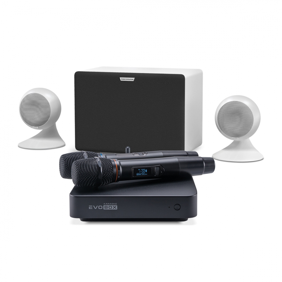 караоке-комплект EVOBOX Classic + EvoSound Sphere 2.1 в Южно-Сахалинске