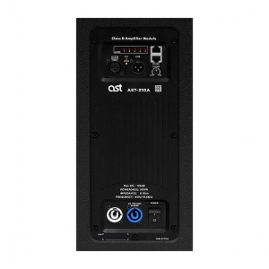 Активная акустическая система AST-310A в Южно-Сахалинске