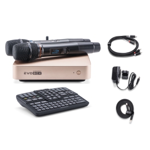 EVOBOX Classic караоке-система для дома в Южно-Сахалинске
