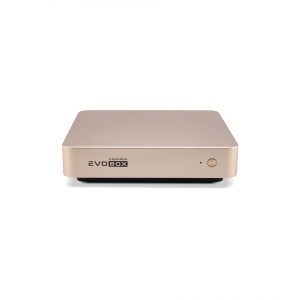 EVOBOX с микрофонами в Южно-Сахалинске